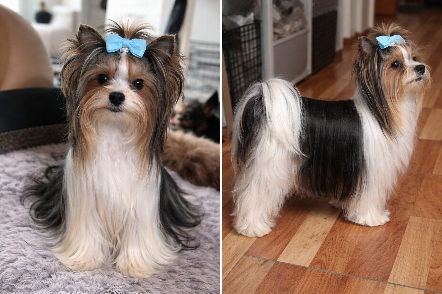 ChatGPT Image 29. 12. 2025, 18_42_16